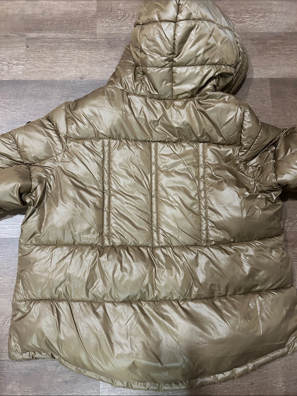 BCBG Paris Hooded Puffer Jacket in Brown - Picture 12 of 12
